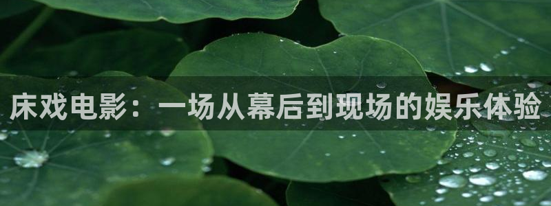 奇优影视电视剧手机版
